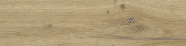 PŁYTKA STARGRES DUBLIN BEIGE MAT 15,5x62 gat. I   – dekoracyjne do wnętrz – Szklane Mozaiki