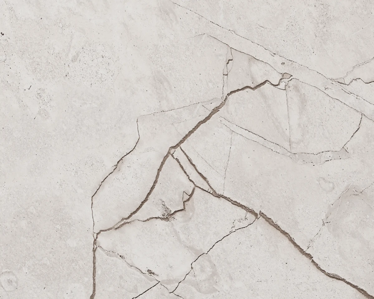 PŁYTKA REKTYFIKOWANA CORNA WHITE CARVING 60x120cm – dekoracyjne do wnętrz – Szklane Mozaiki