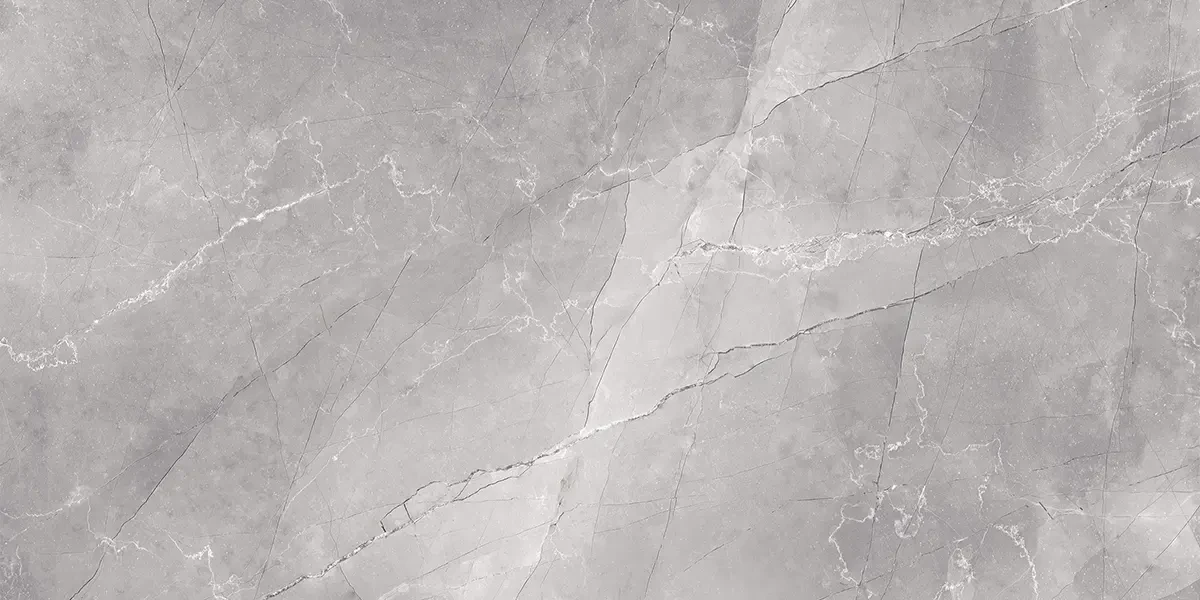 PŁYTKA REKTYFIKOWANA LELIO REMOS GREY SZARA LAPPATO 60x60 – dekoracyjne do wnętrz – Szklane Mozaiki