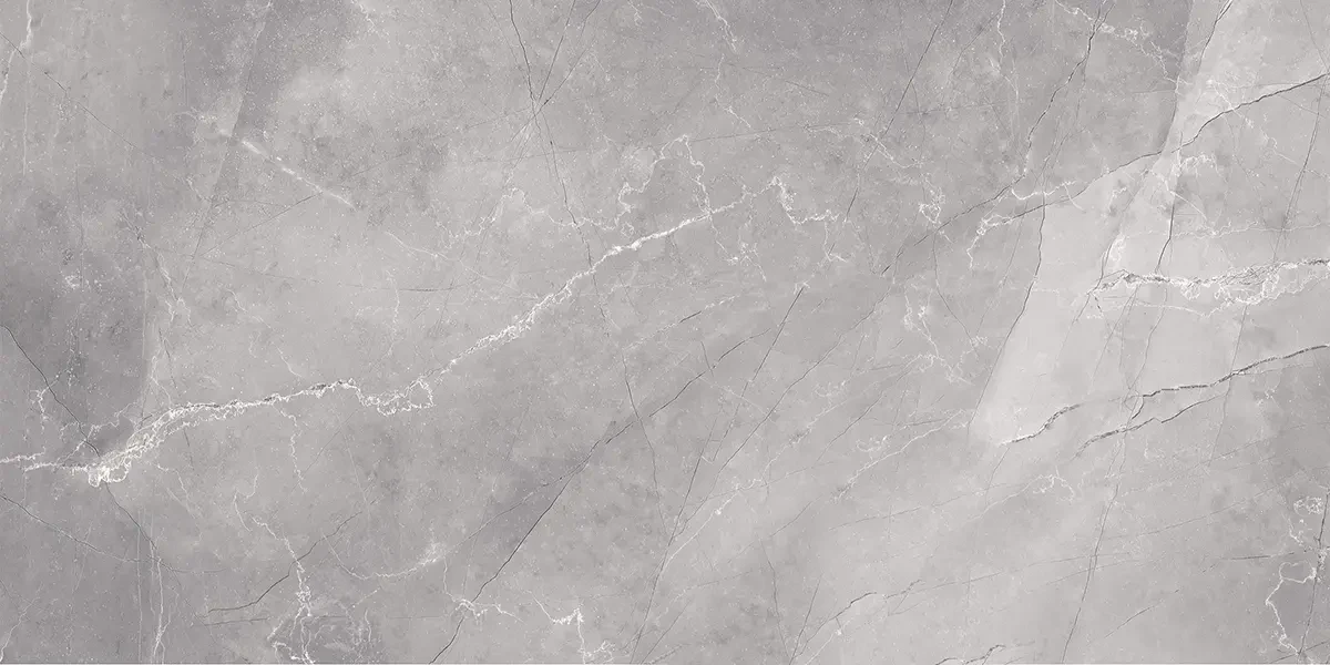 PŁYTKA REKTYFIKOWANA LELIO REMOS GREY SZARA MAT 60x120cm – dekoracyjne do wnętrz – Szklane Mozaiki