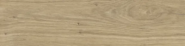 PŁYTKA STARGRES DUBLIN BEIGE MAT 15,5x62 gat. I   – dekoracyjne do wnętrz – Szklane Mozaiki