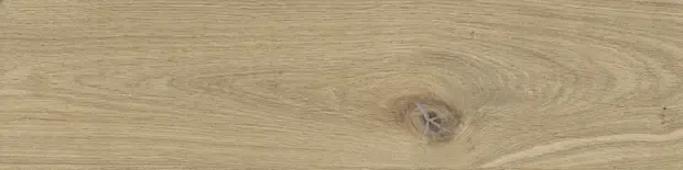 PŁYTKA STARGRES DUBLIN BEIGE MAT 15,5x62 gat. I   – dekoracyjne do wnętrz – Szklane Mozaiki