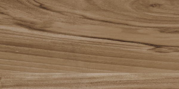 PŁYTKA ŚCIENNA CERAMIKA COLOR EMO WOOD BROWN MAT 30x60 gat. I  – dekoracyjne do wnętrz – Szklane Mozaiki