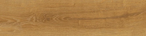 PŁYTKA GRESOWA STARGRES CANADIAN WOOD HONEY MAT 15,5x62 