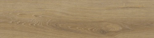PŁYTKA GRESOWA STARGRES CANADIAN WOOD BEIGE MAT 15,5x62