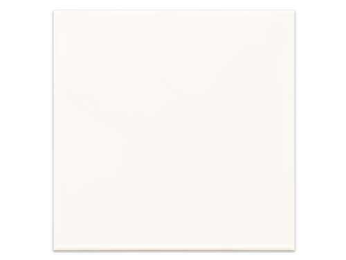 PŁYTKA CERAMICZNA CHIC BONE 15x15